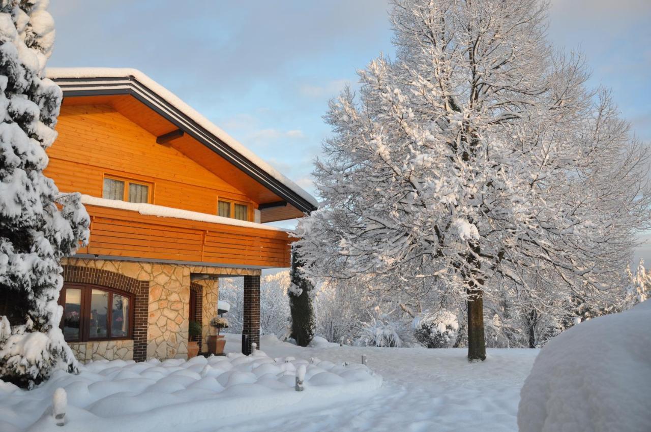 Guesthouse Dolinsek Sevnica Екстер'єр фото