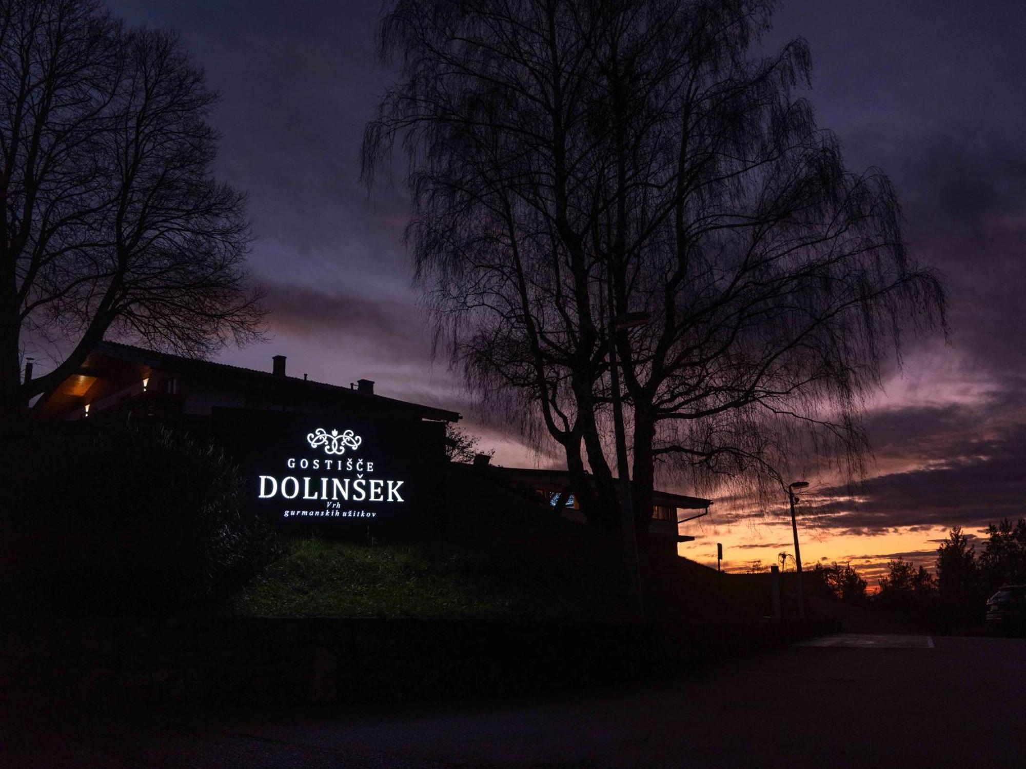 Guesthouse Dolinsek Sevnica Екстер'єр фото